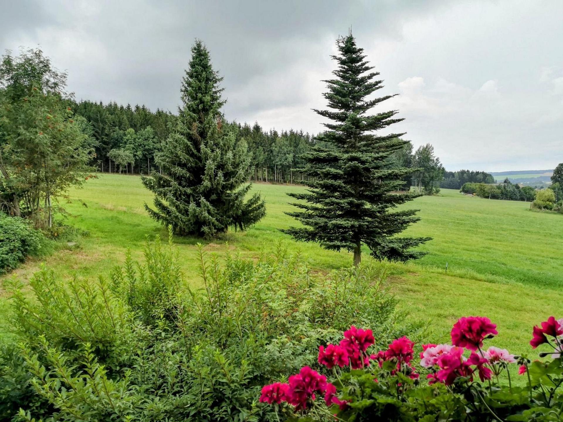 Ausblick vom Balkon